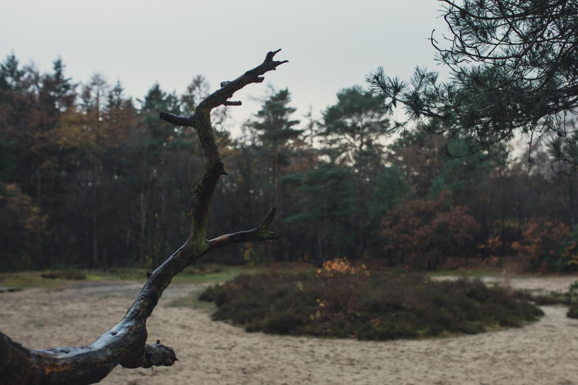 Drents Genieten - Kraaiheide Met Prive Jacuzzi Erm Экстерьер фото